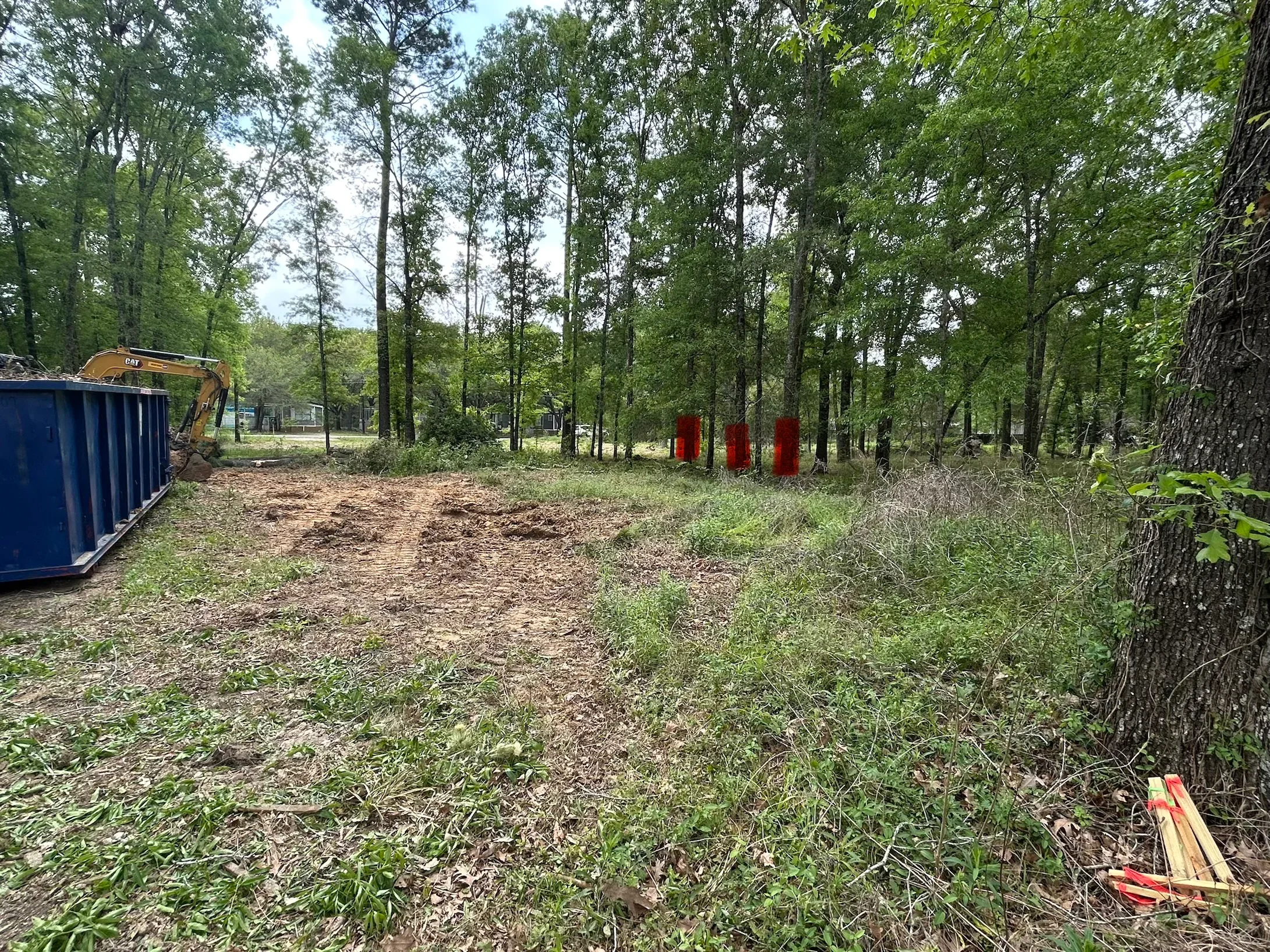 Cleared wooded lot with selective tree removal, mulch ground cover, and dumpster staging